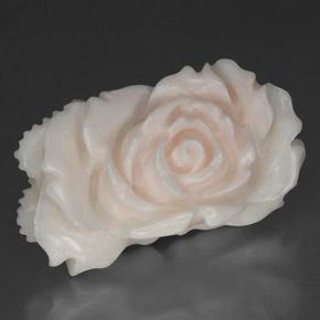 Corail blanc naturelle forme fantaisie, 24,33 ct, opaque