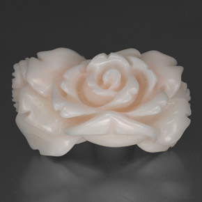 Corail blanc naturelle forme fantaisie, 30,35 ct, opaque