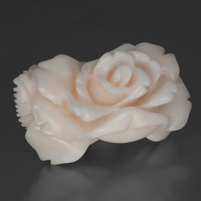 Corail blanc naturelle forme fantaisie, 30,35 ct, opaque