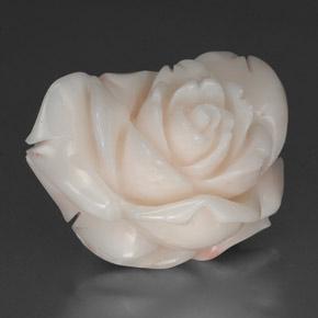 Corail blanc naturelle forme fantaisie, 34,31 ct, opaque