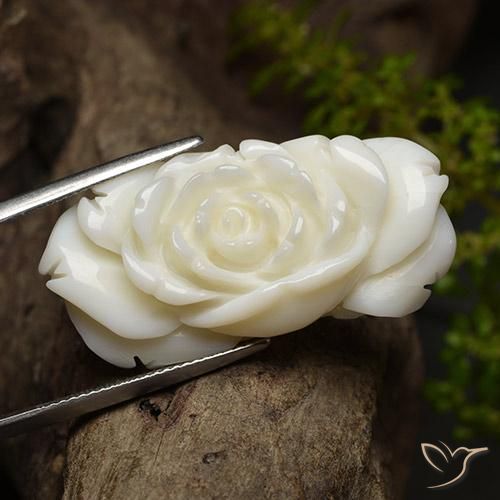 Corail Blanc vif naturelle Taille Fleur, 36.24 ct, Opaque