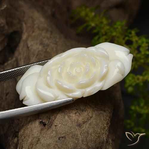 Corail Blanc vif naturelle Taille Fleur, 36.24 ct, Opaque