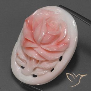 Corail Saumon Rose naturelle Fantaisie, 28.86 ct, Opaque