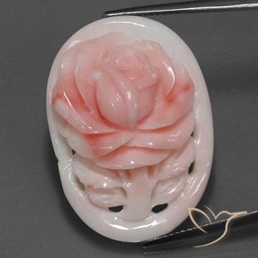 Corail Saumon Rose naturelle Fantaisie, 28.86 ct, Opaque