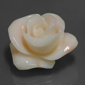 Corail crème naturelle forme fantaisie, 18,54 ct, opaque