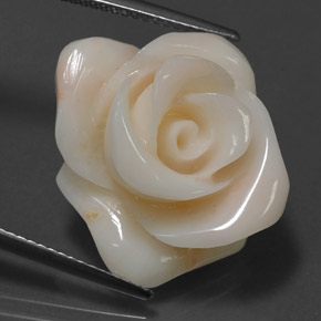Corail crème naturelle forme fantaisie, 18,54 ct, opaque