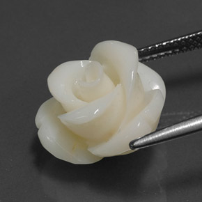 Corail Blanc naturelle Forme fantaisie, 8.97 ct, Opaque