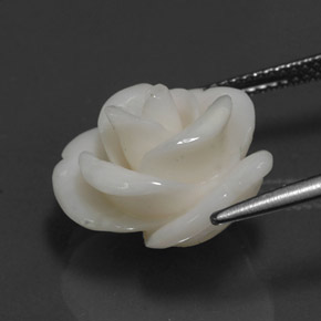 Corail blanc naturelle forme fantaisie, 10,95 ct, opaque