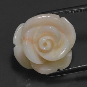 Corail rose naturelle forme fantaisie, 17,14 ct, opaque