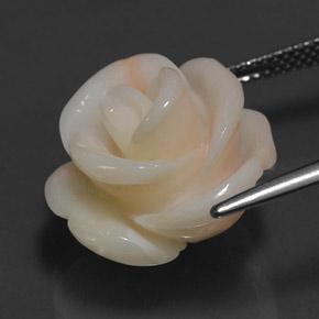 Corail rose naturelle forme fantaisie, 17,14 ct, opaque