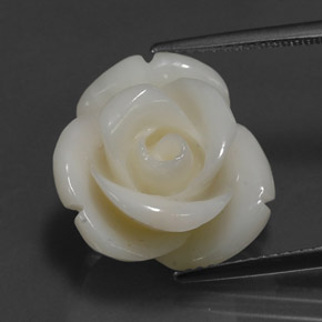 Corail blanc naturelle forme fantaisie, 14,08 ct, opaque