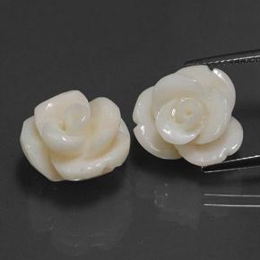Achetez naturel 21,60ct blanc corail gems, taille fleur, en provenance taïwan chez gemselect. en stock, livraison internationale!