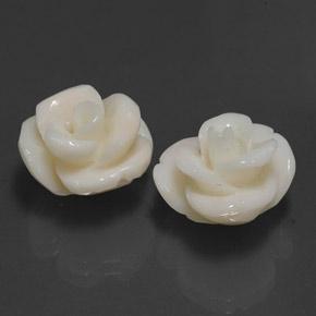 Achetez naturel 21,60ct blanc corail gems, taille fleur, en provenance taïwan chez gemselect. en stock, livraison internationale!