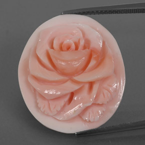 Corail rose naturelle forme fantaisie, 15,77 ct, opaque