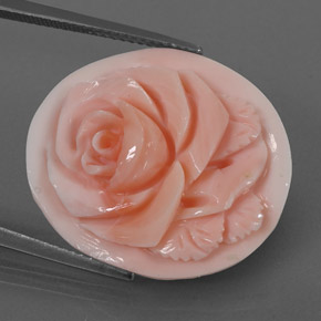 Corail rose naturelle forme fantaisie, 15,77 ct, opaque