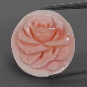 Corail rose naturelle forme fantaisie, 15,77 ct, opaque