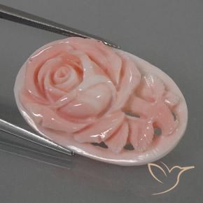 Corail Flamant rose naturelle Fantaisie, 22.80 ct, Opaque