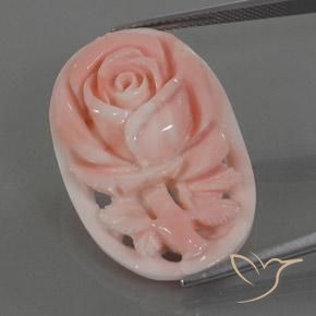 Corail Flamant rose naturelle Fantaisie, 22.80 ct, Opaque