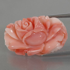 Corail multicolore naturelle forme fantaisie, 33,66 ct, opaque