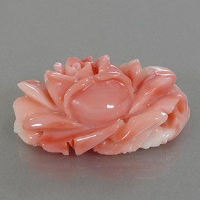 Corail multicolore naturelle forme fantaisie, 33,66 ct, opaque