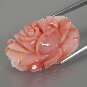Corail multicolore naturelle forme fantaisie, 33,66 ct, opaque