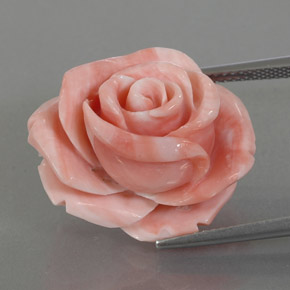Corail rose naturelle forme fantaisie, 25,74 ct, opaque