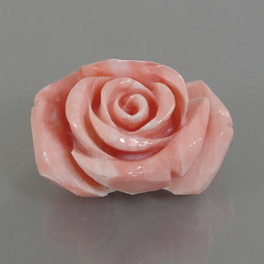 Corail rose naturelle forme fantaisie, 25,74 ct, opaque
