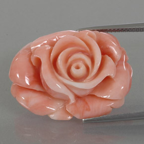 Corail multicolore naturelle forme fantaisie, 22,59 ct, opaque