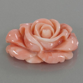 Corail multicolore naturelle forme fantaisie, 22,59 ct, opaque
