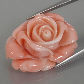 Corail multicolore naturelle forme fantaisie, 22,59 ct, opaque