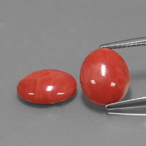 Achetez naturel ct rose corail gems, coupe ovale, en provenance taïwan chez gemselect. en stock, livraison internationale!