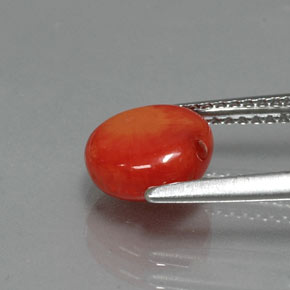 Corail Saumon naturelle Forme fantaisie, 1.95 ct, Opaque