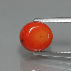 Corail saumon naturelle forme fantaisie, 2,62 ct, opaque