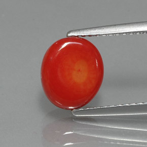 Corail rose naturelle forme fantaisie, 2,35 ct, opaque