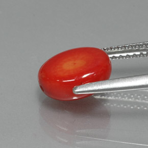 Corail rose naturelle forme fantaisie, 2,35 ct, opaque