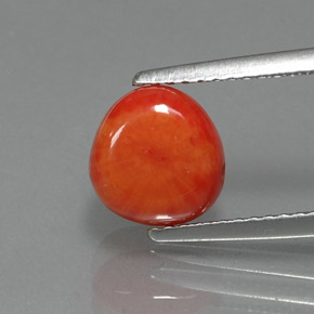 Corail rose naturelle forme fantaisie, 2,25 ct, opaque