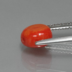 Corail rose naturelle forme fantaisie, 2,25 ct, opaque