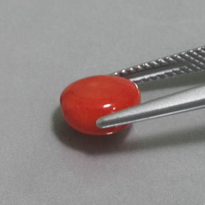 Corail Saumon naturelle Forme fantaisie, 2.41 ct, Opaque