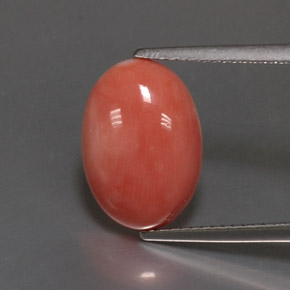 Corail rose naturelle coupe ovale, 4,05 ct, opaque