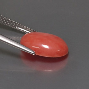 Corail rose naturelle coupe ovale, 4,05 ct, opaque