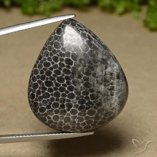 32.89ct Naturel Multicolore Corail, En forme de poire, Opaque