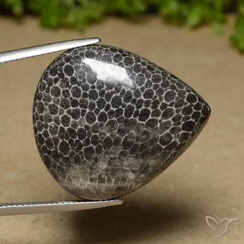 Corail Multicolore naturelle En forme de poire, 32.89 ct, Opaque