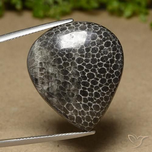 Corail Multicolore naturelle En forme de poire, 32.89 ct, Opaque
