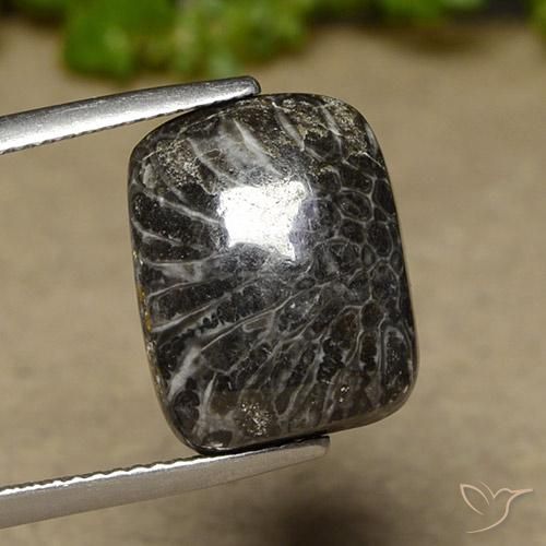 11.07ct Naturel Multicolore Corail, Coussin, Opaque