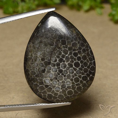 Corail Multicolore naturelle En forme de poire, 21.35 ct, Opaque