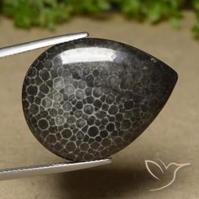 Corail Multicolore naturelle En forme de poire, 21.35 ct, Opaque