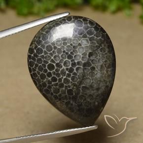 Corail Multicolore naturelle En forme de poire, 21.35 ct, Opaque