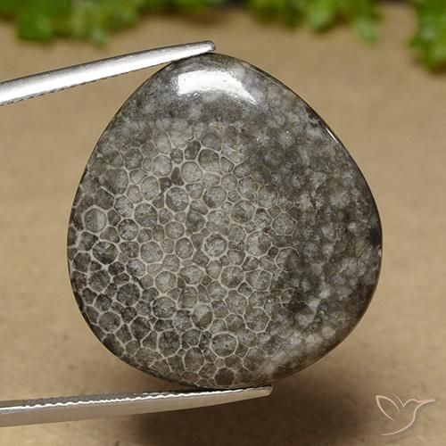 27.41ct Naturel Multicolore Corail, En forme de poire, Opaque