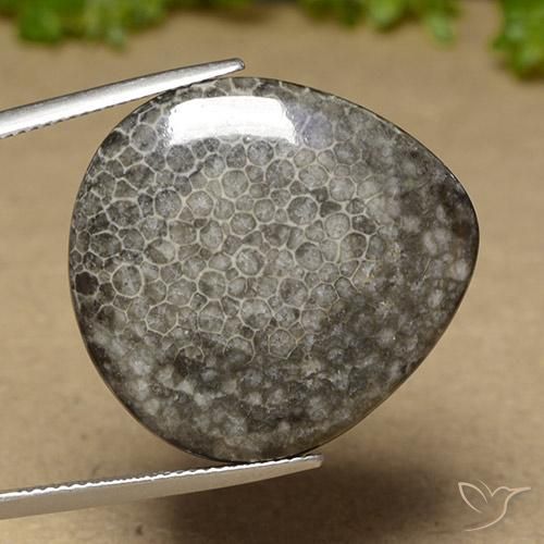 Corail Multicolore naturelle En forme de poire, 27.41 ct, Opaque