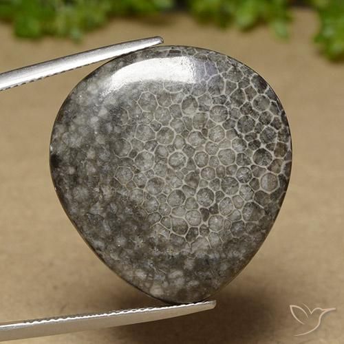 Corail Multicolore naturelle En forme de poire, 27.41 ct, Opaque